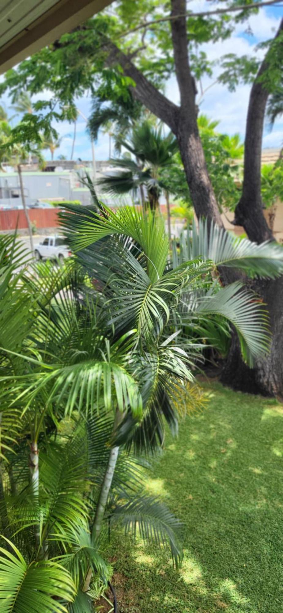 Kihei Kai Nani Resort ภายนอก รูปภาพ