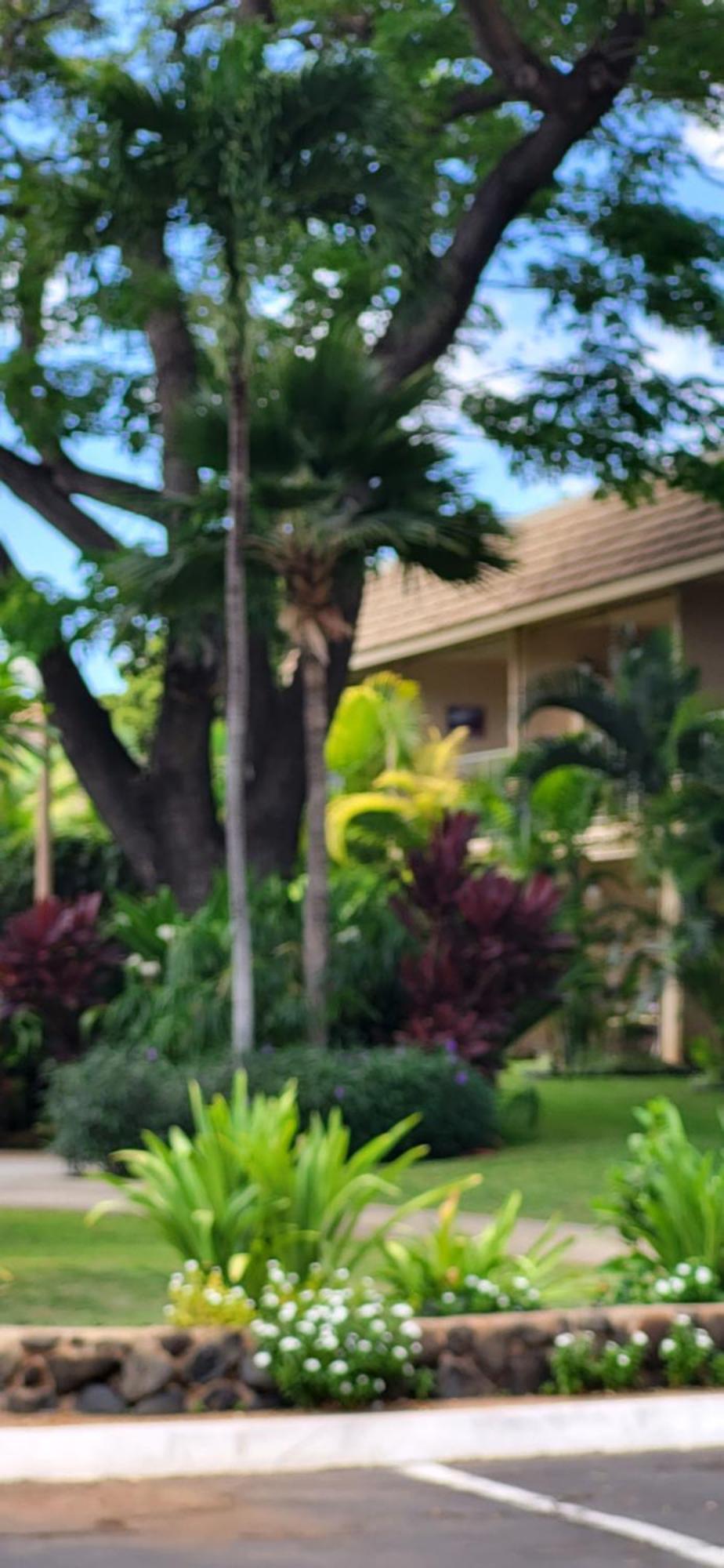Kihei Kai Nani Resort ภายนอก รูปภาพ